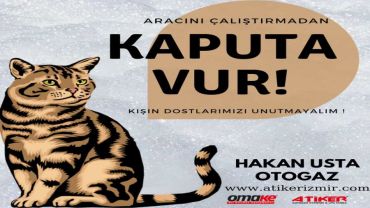 DOĞA DOSTU HAKAN USTA OTOGAZ